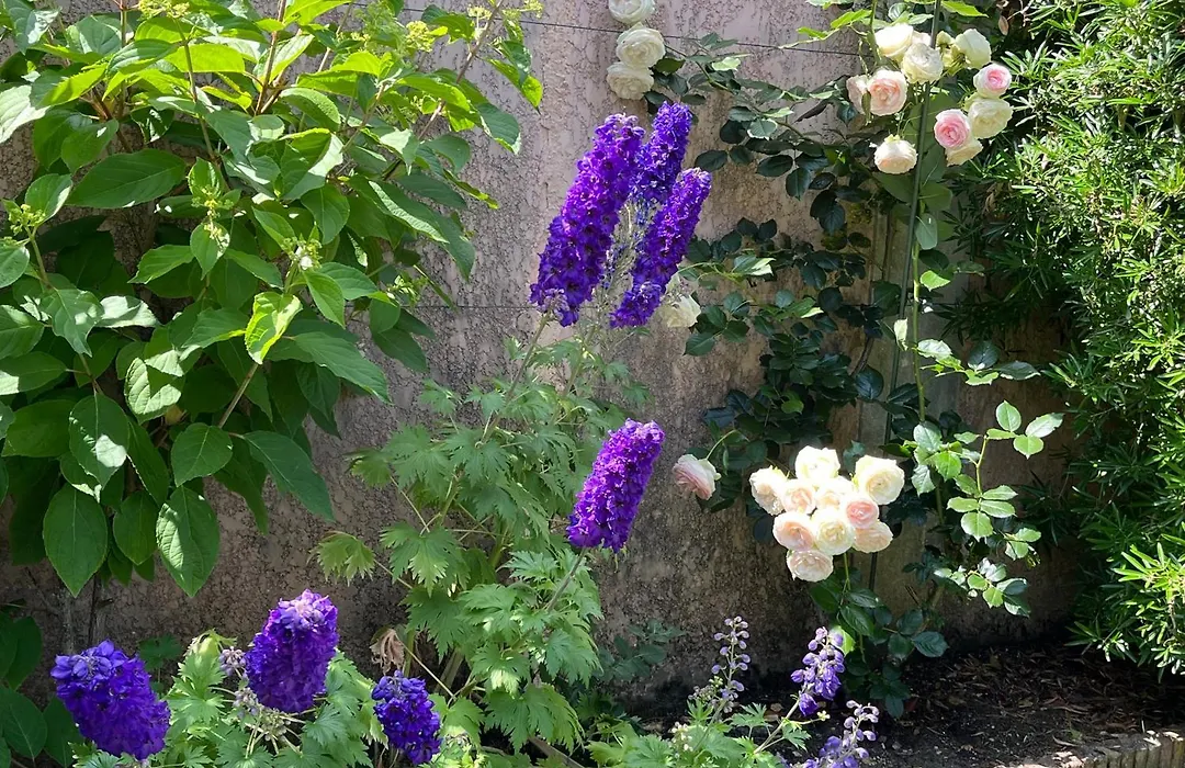 Rose Garden Mezzanine-1